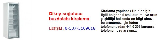 dikey soğutucu buzdolabı kiralama